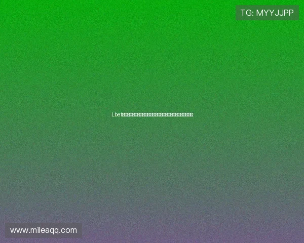 Lbet体育世界杯球员焦点访谈与明星阵容深度解析助力粉丝了解明星